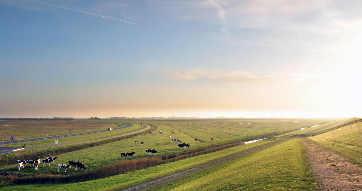 Lees hier de nieuwsbrief van januari! 